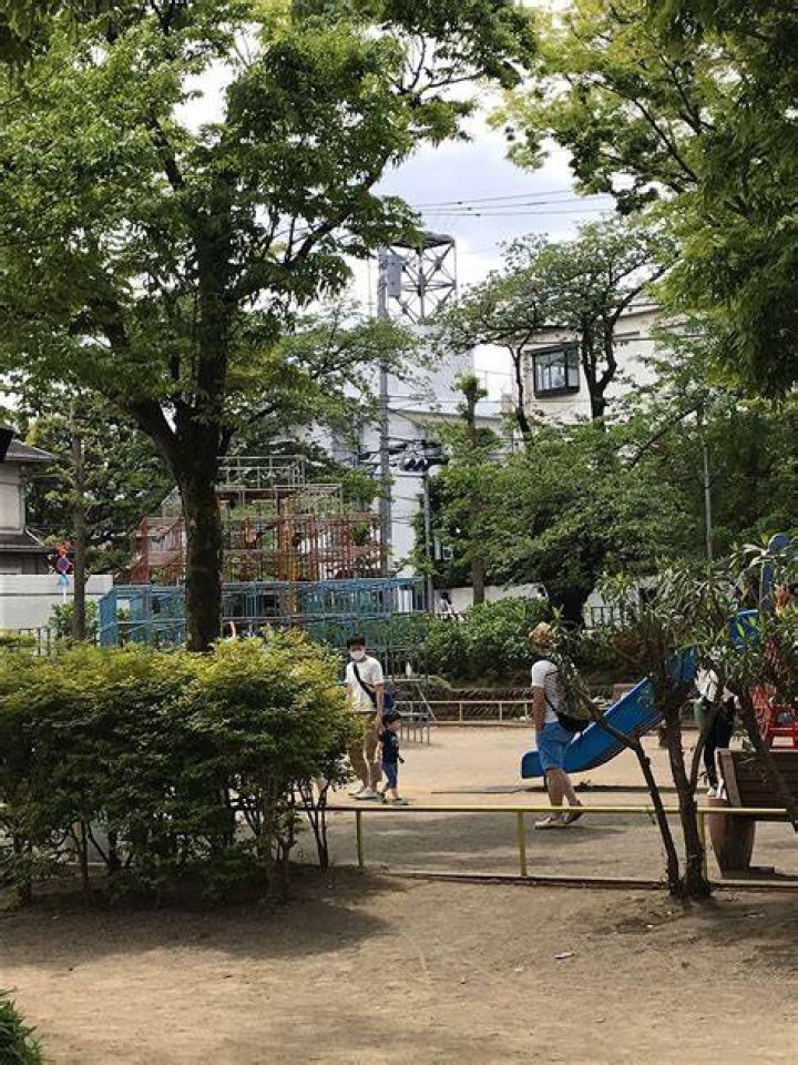 代々木公園に遊具はない？子連れで楽しむための完全ガイド